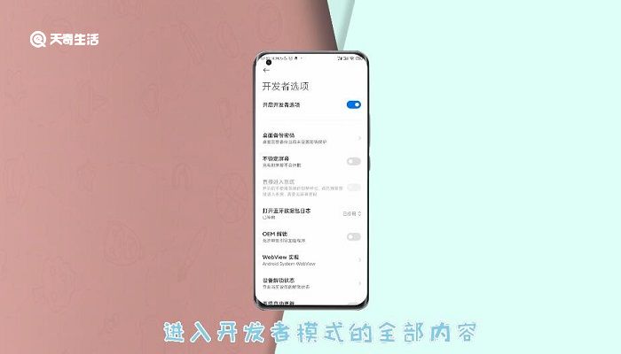 小米怎么进开发者模式 小米如何进开发者模式