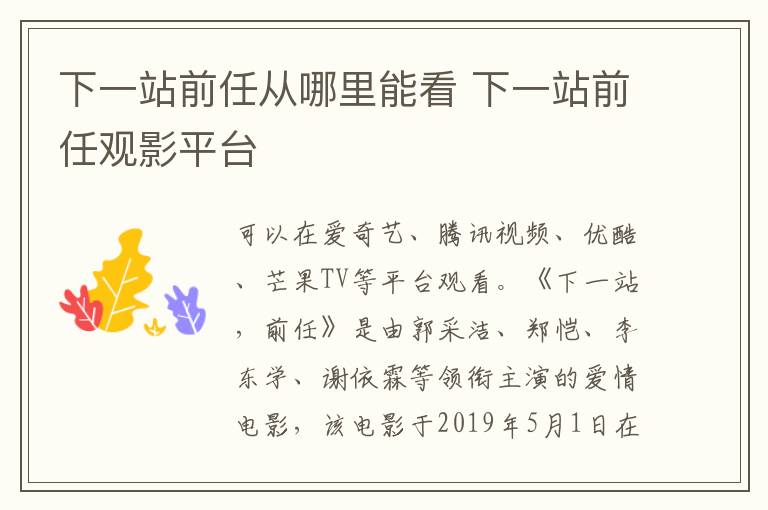 下一站前任从哪里能看 下一站前任观影平台