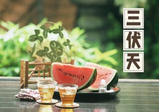 三伏天从什么时候开始至结束