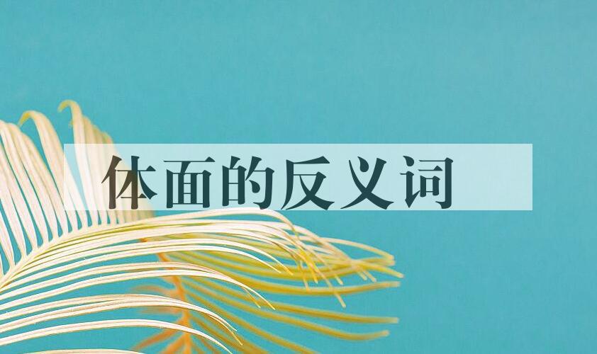 体面的反义词