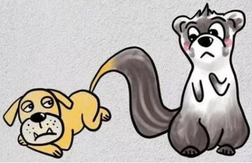 狗尾续貂的主人公是谁 狗尾续貂的主人公是谁?